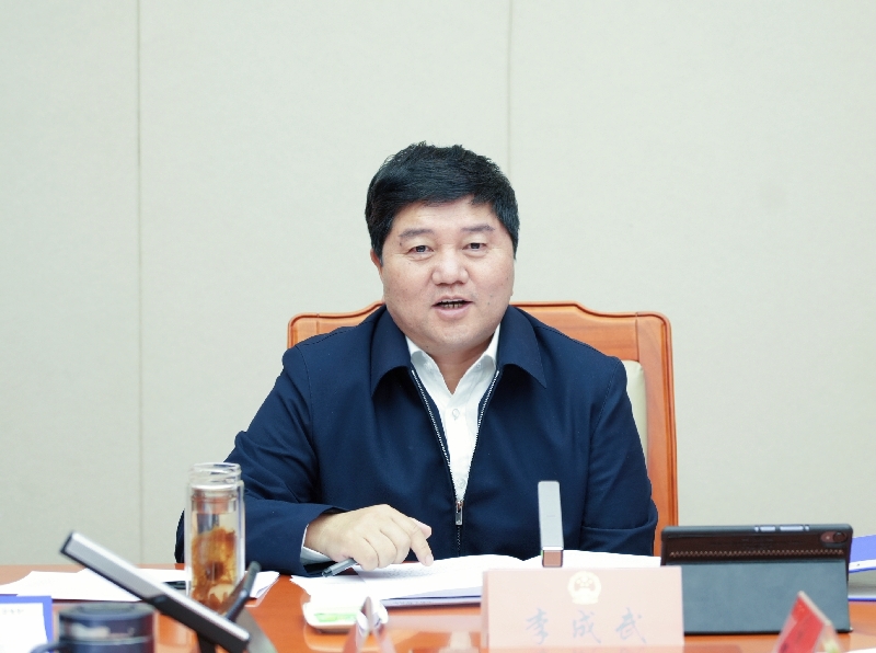 2李成武主持会议.jpg