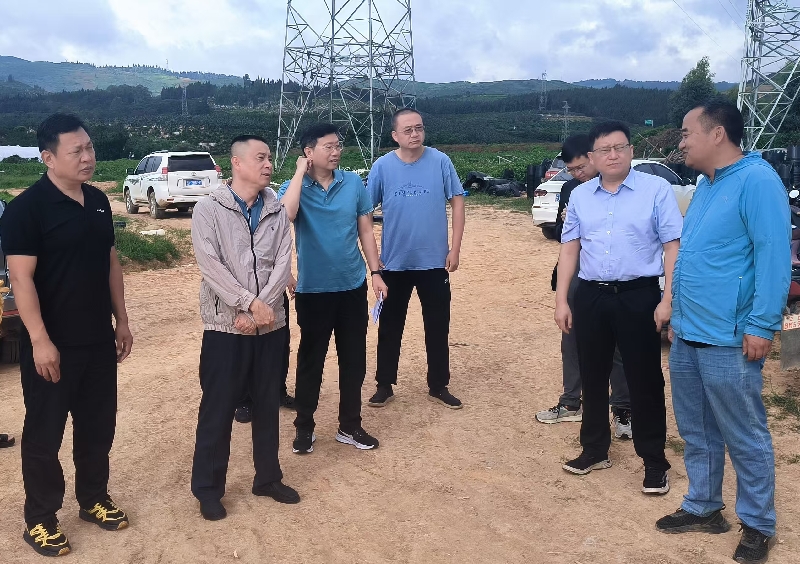 1蒙自市人大常委会对经济运行情况开展调查.jpg