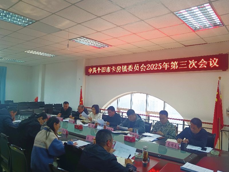 2镇人大主席团听取镇人民政府作近期“打非治违”工作情况汇报.jpg