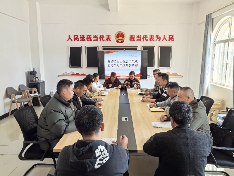 3鸣鹫镇人大代表工作站传达学习全国两会精神.jpg