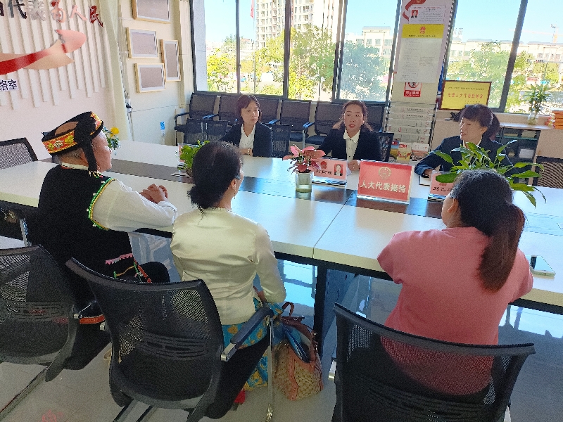 1开展人大代表接待选民活动.jpg