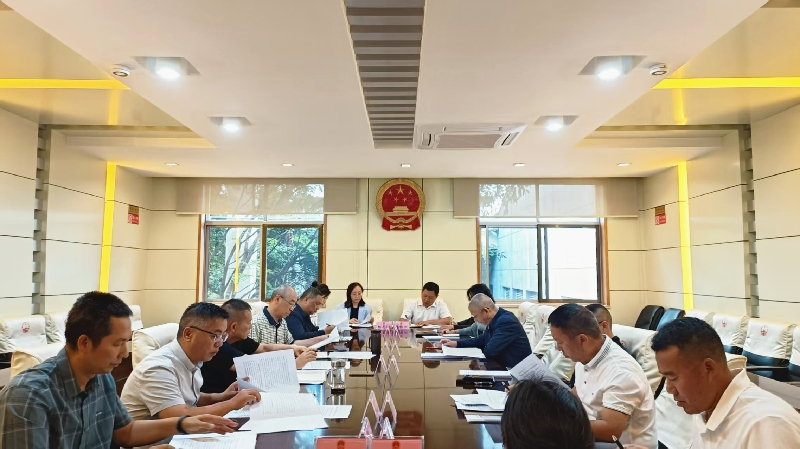 2蒙自市人大常委会主任会议研究审议意见.jpg