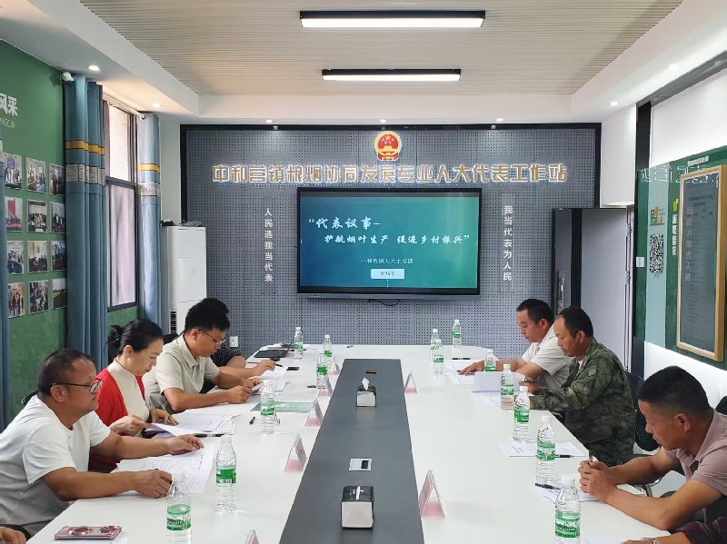 1“代表议事+”活动.jpg