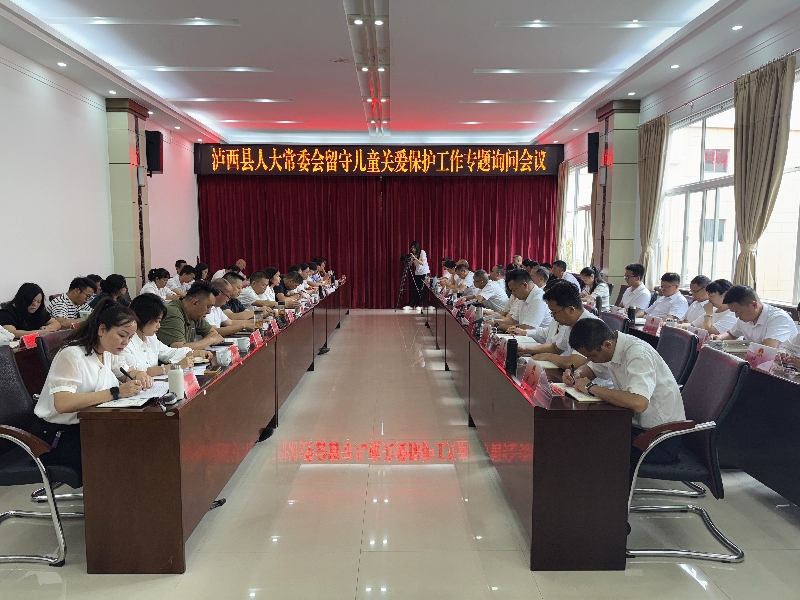 2专题询问会议现场.jpg