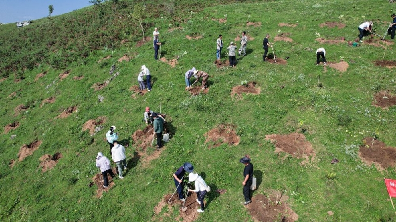 植树活动现场（2025年8月17日摄）.jpg
