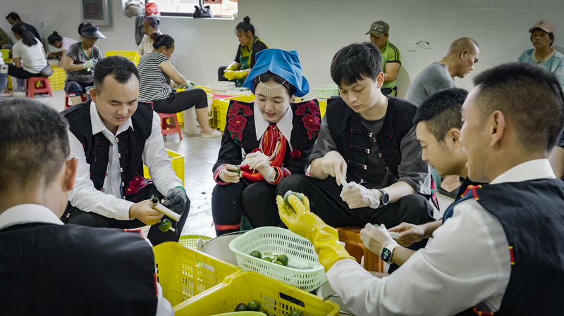 四会橘加工.jpg