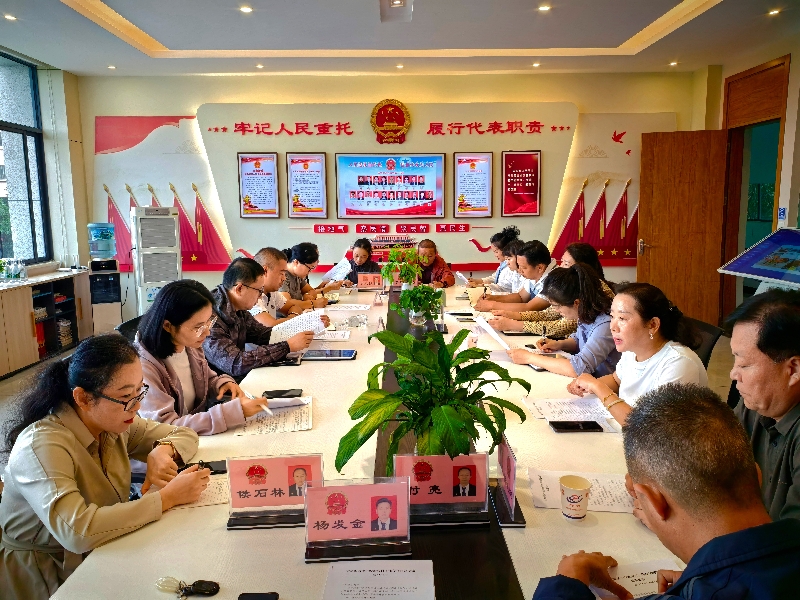 1文萃街道“代表有约·局长进站”活动现场1.jpg