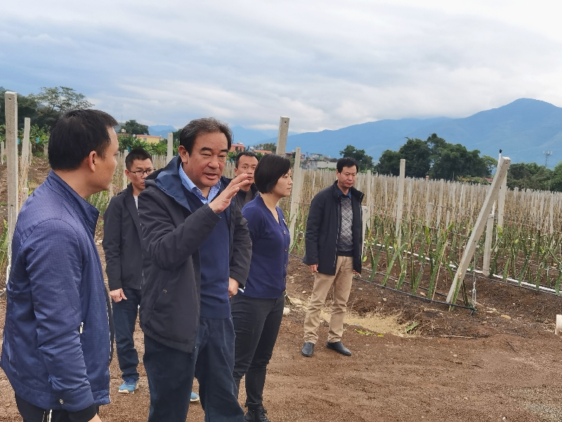 孙广益到金平县调研乡村振兴工作_红河州人大网