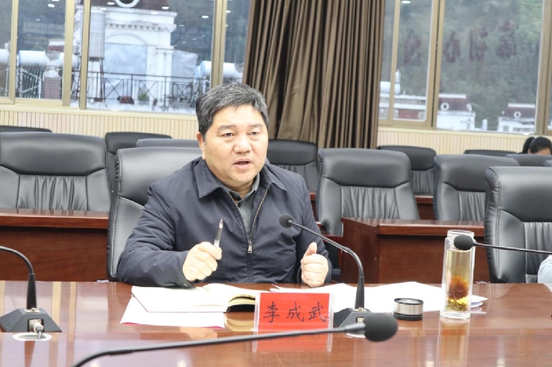 李成武调研县乡两级人大换届选举工作